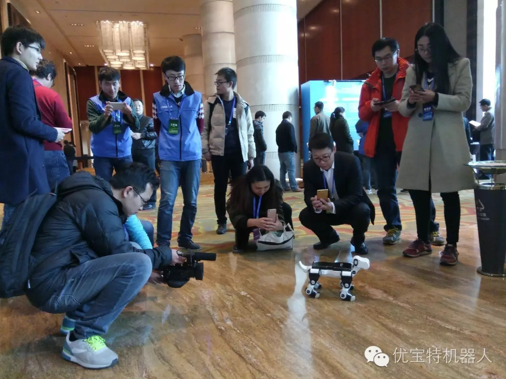 “單身狗”紅透光棍節(jié)，小Billy榮獲中國智能創(chuàng)新設(shè)計(jì)大賽亞軍