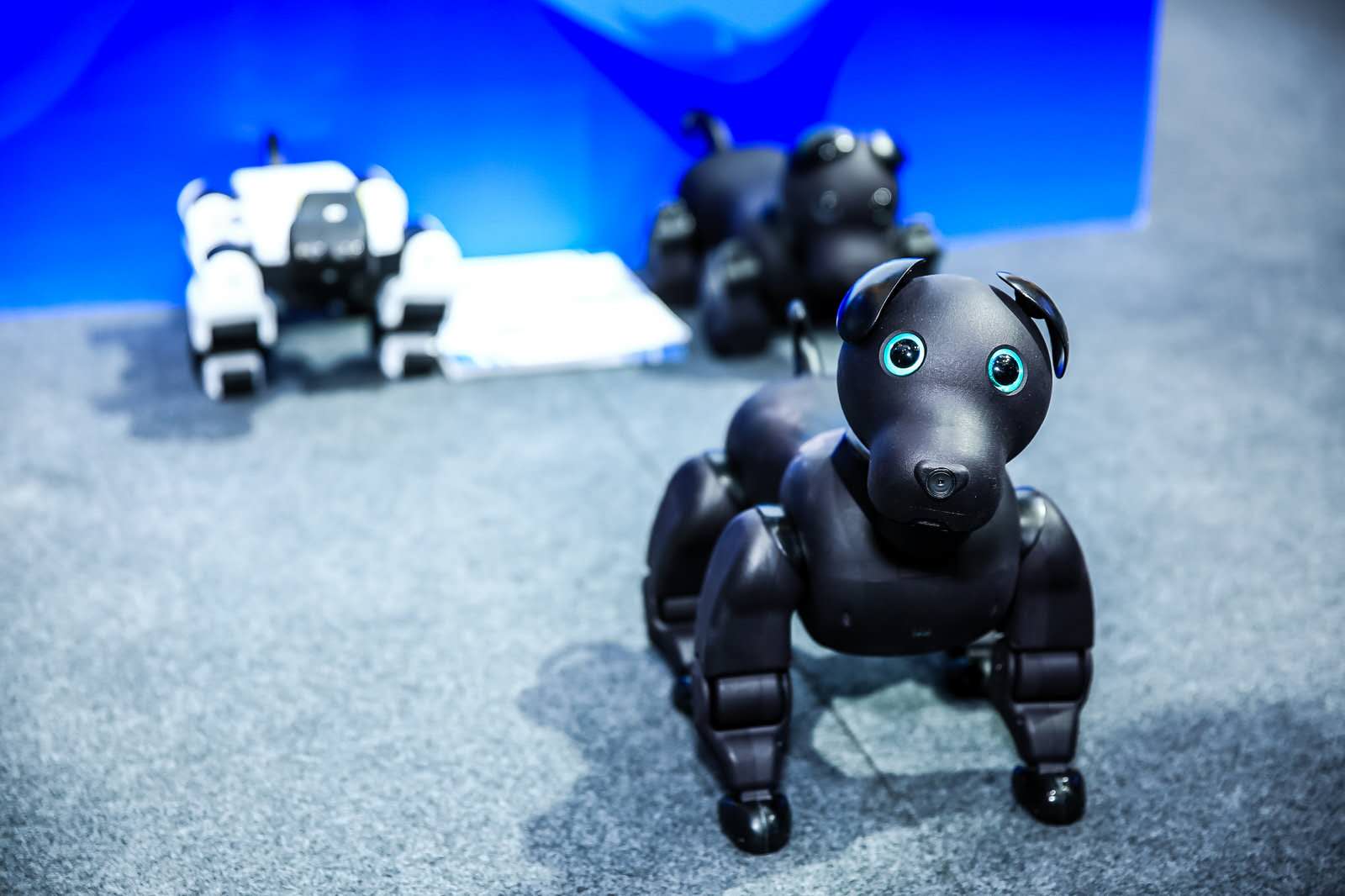 優(yōu)寶特機器人亮相軟博會，獲贊滿滿