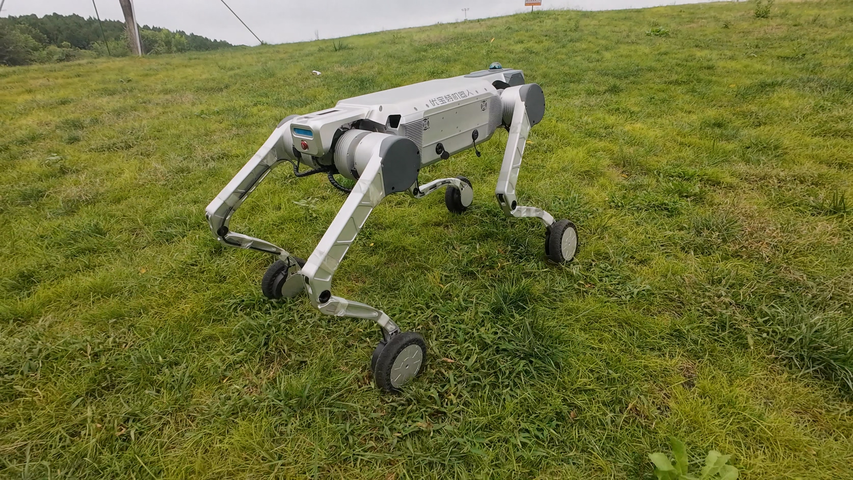 優(yōu)寶特重磅推出Y20-W輪式四足機(jī)器人，智能靈巧、性能澎湃