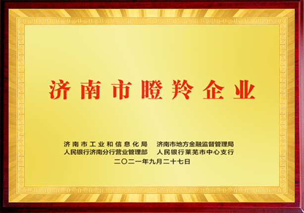 榮譽(yù)資質(zhì)